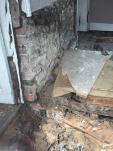 dry-rot SH-225x300